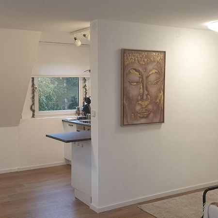 Frisch Renoviert Mit Dachterrasse - Geniesse Ruhe Und Grun Nahe Neustadt Aisch 诺伊施塔特·安德尔埃斯克 外观 照片