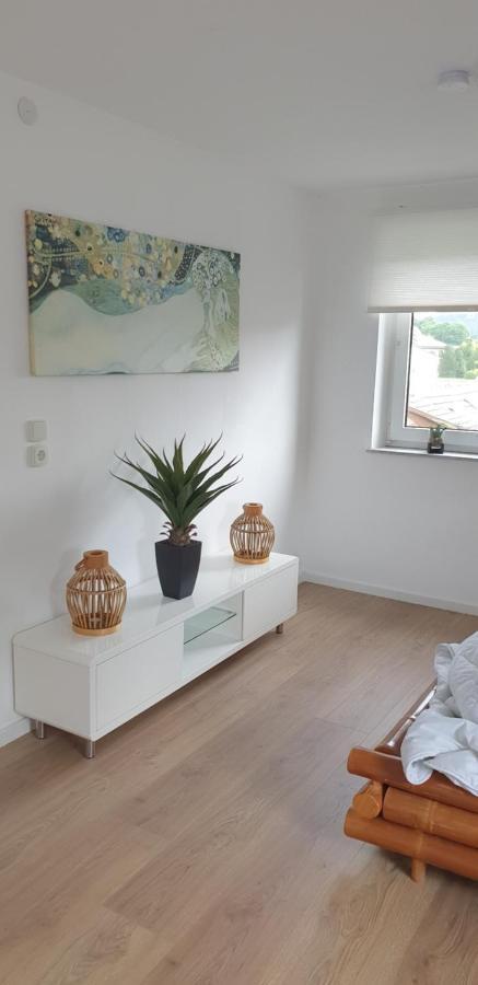 Frisch Renoviert Mit Dachterrasse - Geniesse Ruhe Und Grun Nahe Neustadt Aisch 诺伊施塔特·安德尔埃斯克 外观 照片