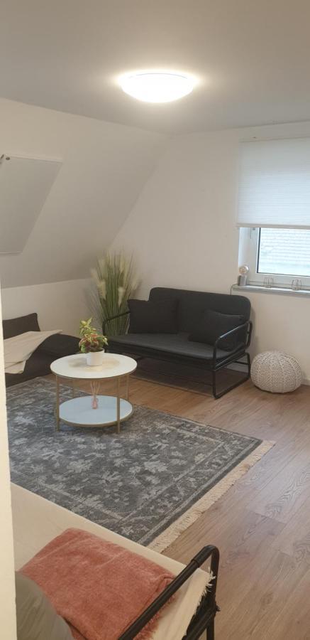 Frisch Renoviert Mit Dachterrasse - Geniesse Ruhe Und Grun Nahe Neustadt Aisch 诺伊施塔特·安德尔埃斯克 外观 照片